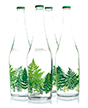Дизайн стеклянных бутылок